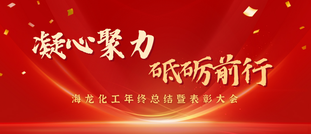 表彰 | 凝心聚力，砥礪前行，海龍化工年終總結(jié)暨表彰大會圓滿舉行